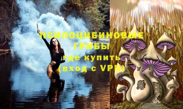 бутират Арсеньев