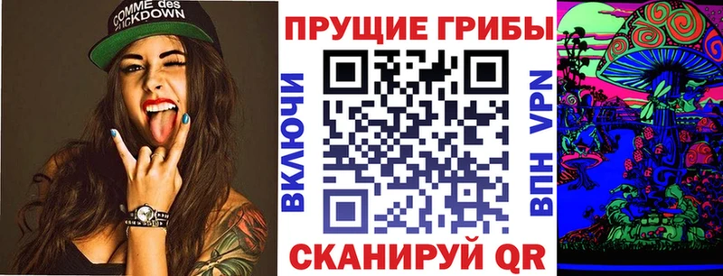 Галлюциногенные грибы Cubensis Катайск