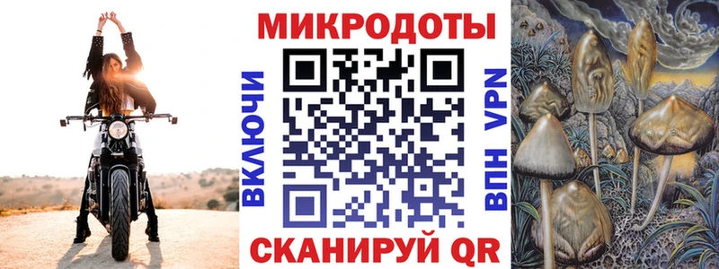 где продают наркотики ссылка на мегу ссылки Псилоцибиновые грибы MAGIC MUSHROOMS Катайск